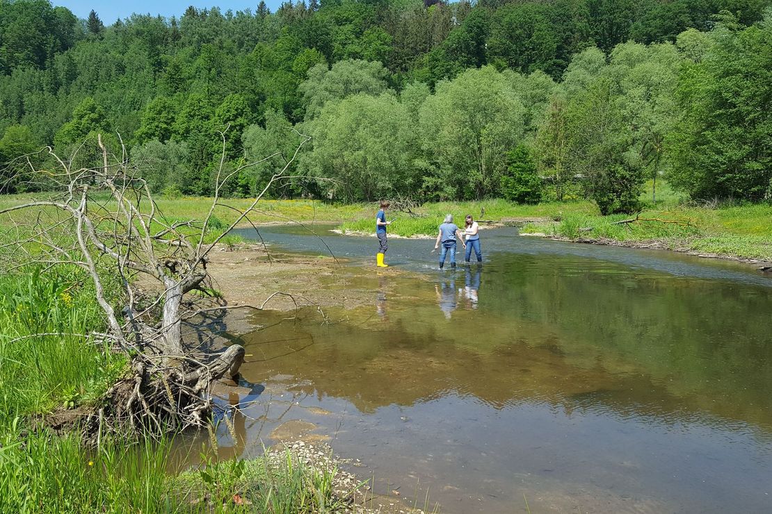 das Bild zeigt eine Schülergruppe bei einer Gewässeruntersuchung