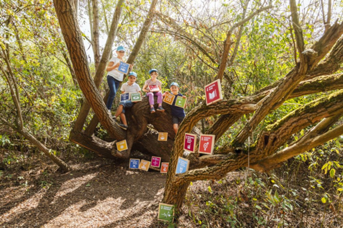 Wasserzentrum Gymnicher Mühle, Kinderporträts, Natur, Spielen Kinder sitzen mit SDG-Tafeln auf Baum