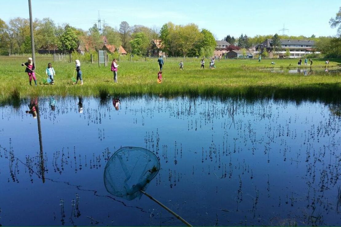 Ein Teich mit Wasserpflanzen, im HIntergrund sind Kinder mit Keschern