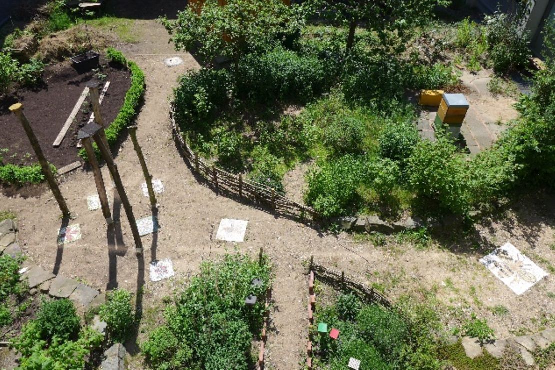 Drohnenaufnahme von einem Bienengarten von oben
