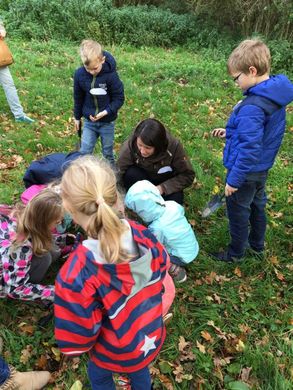 Das Bild zeigt eine Kindergruppe, beim Suchen von Regenwürmern..