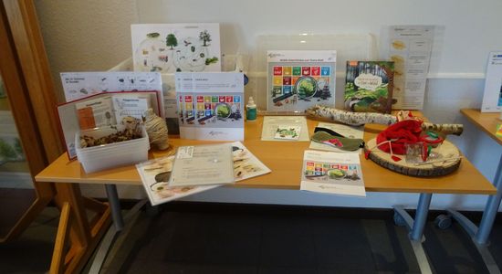 Unterrichtsbox "Unser Wald" der Stiftung NLW