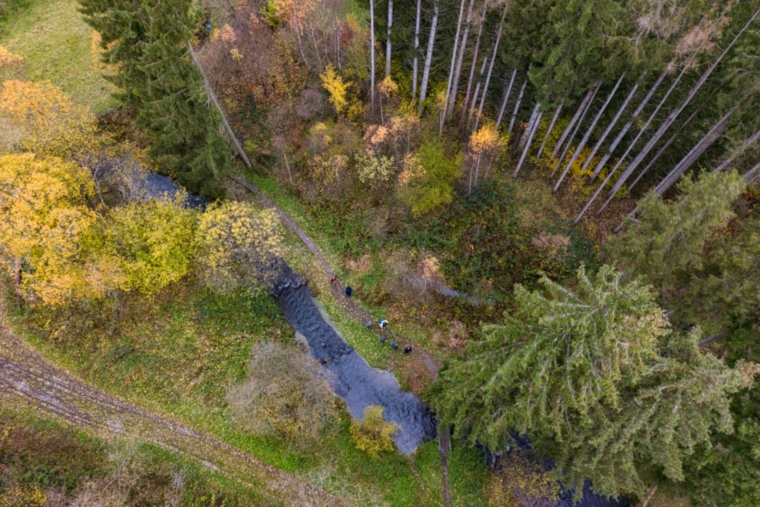 Wald und Fluss von Oben