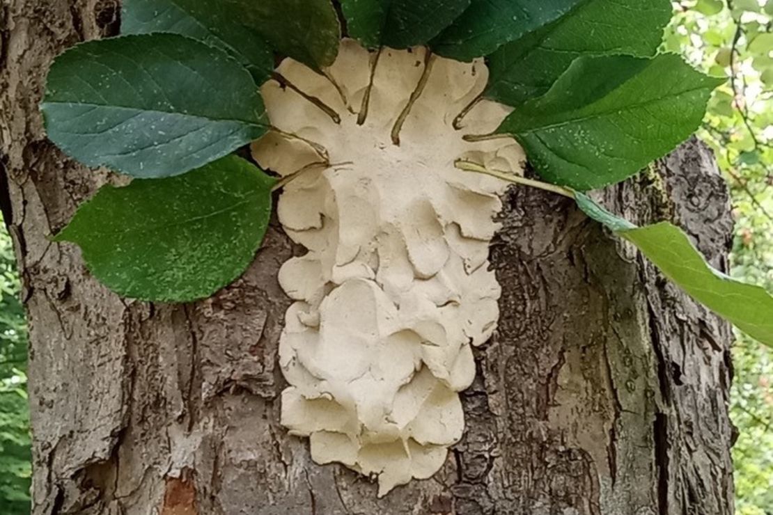 Auf einem Baumstamm ist ein Baum aus Ton und echten Blättern geformt worden.