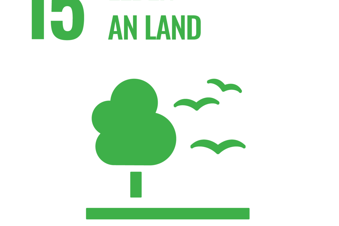 SDG 15 - Leben an Land 