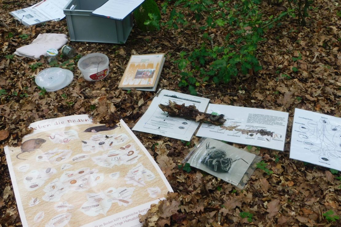 Boden mit Laubstreu und Untersuchungsmaterialien für Bodenproben