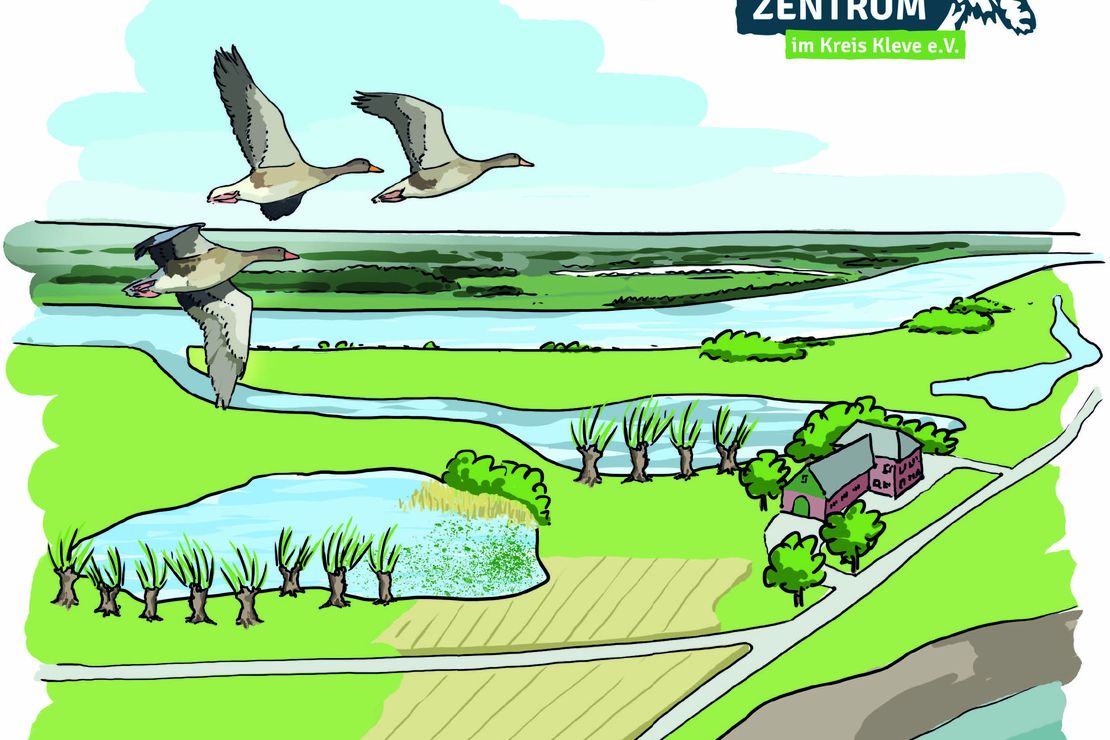 Titelseite der Broschüre Natur am Niederrhein in Leichter Sprache. Die Grafik zeigt die typische Natur am Niederrhein in Leichter Sprache mit Zeichnungen zur