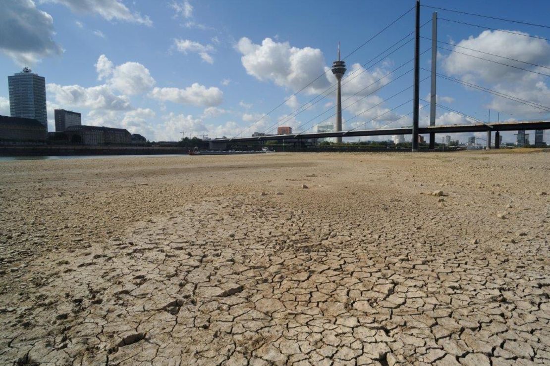Rhein bei Niedrigwasser, ausgedorrtes Flussbett