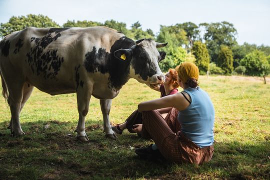 Zwei Personen sitzen auf der Wiese, eine s/w Kuh steht dabei.