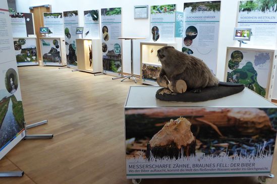 Aufgebaute Wanderausstellung