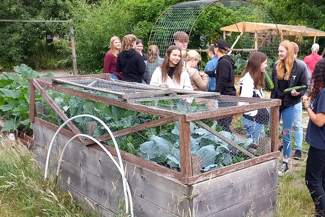 Schüler:innen ernten im Schulgarten