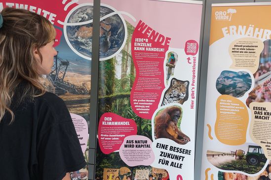 Eine Person steht mit dem Rücken zur Kamera und betrachtet die Plakate einer Wanderausstellung. Auf dem Banner steht "Weltweite Wende". 