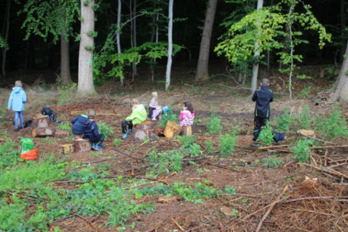 Kinder sitzen auf Baumklötzen am Waldrand