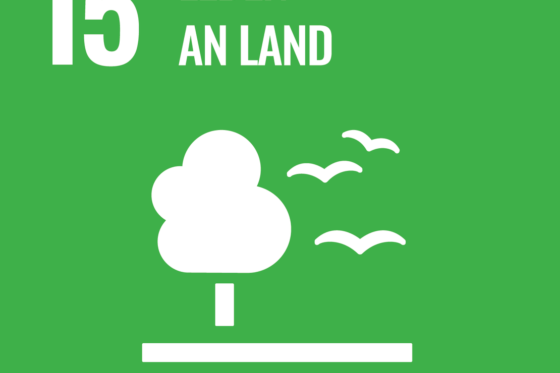 SDG 15 Icon