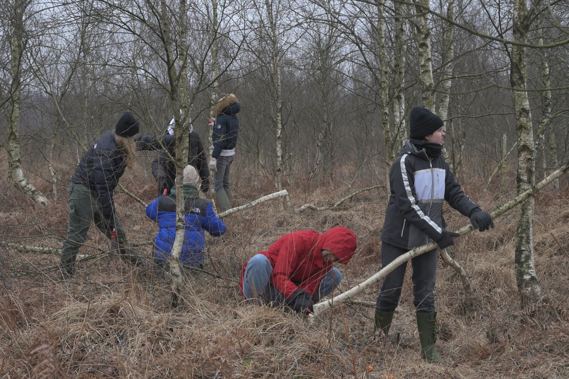 Mehrere Personen entfernen Gehöze im Moorgebiet