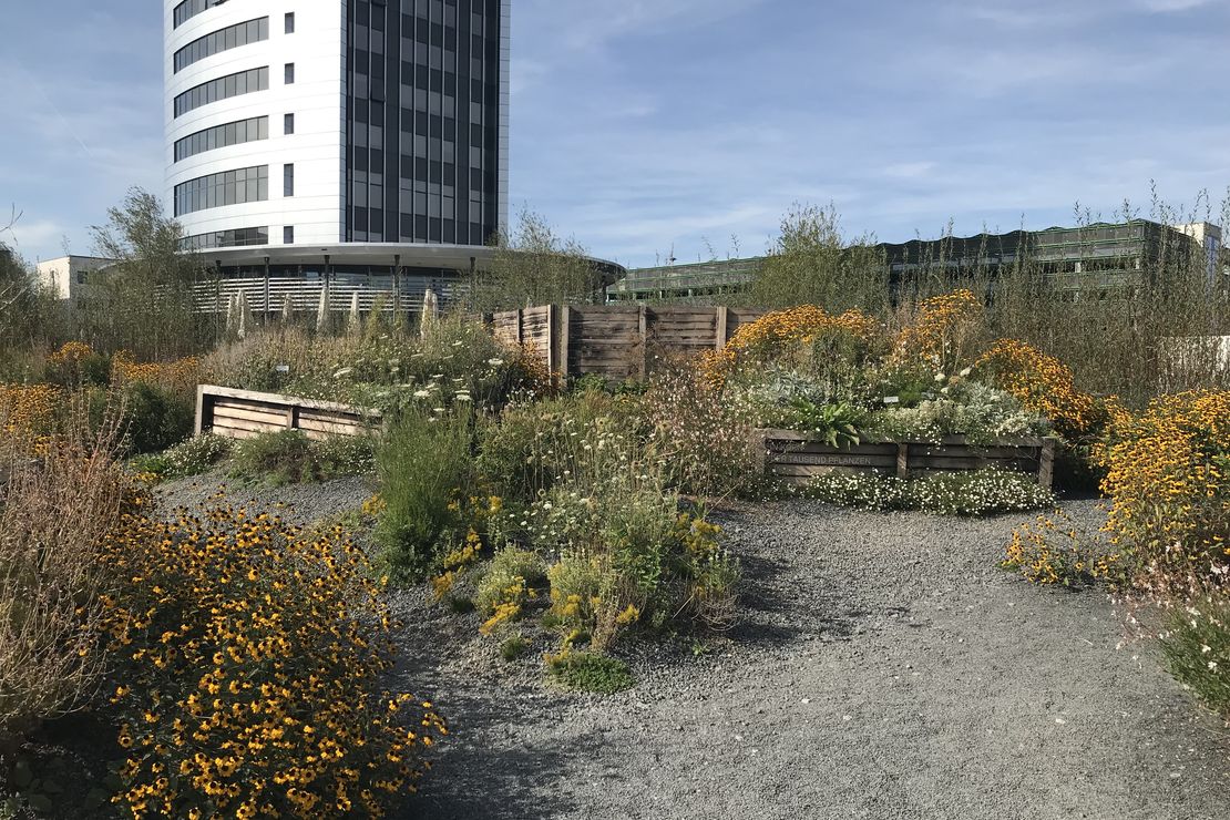 Urbaner Garten vor einem Hochhaus.