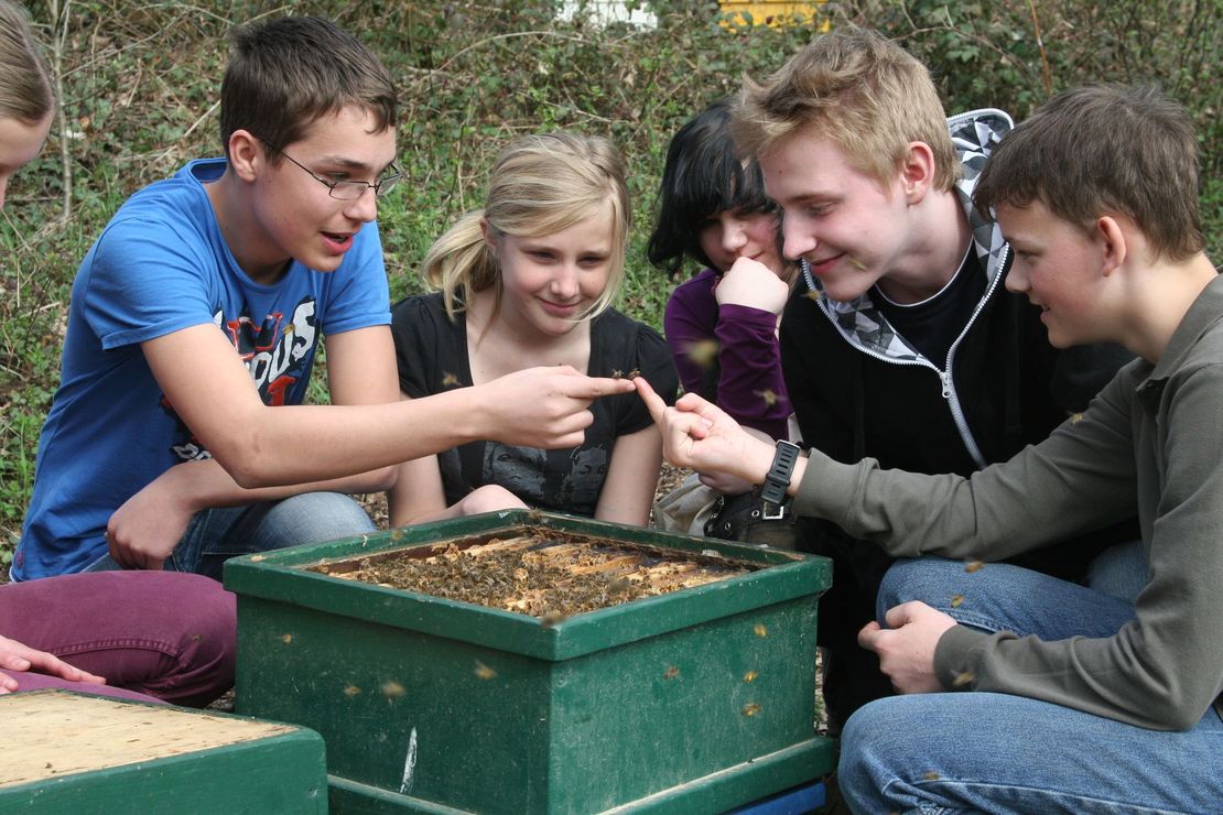 Schülerinenn und Schüler umringen einen Bienenstock