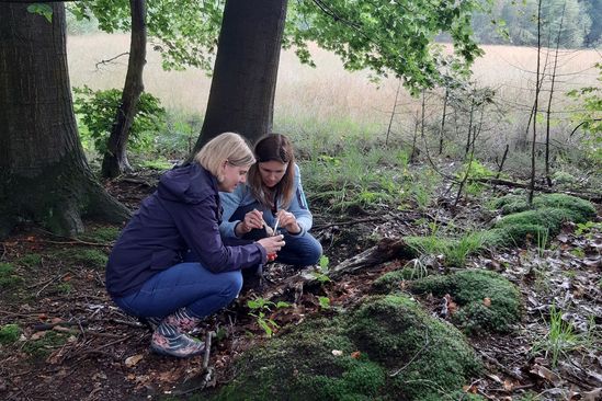Zwei Frauen betrachten den Waldboden genau und suchen Bodentiere