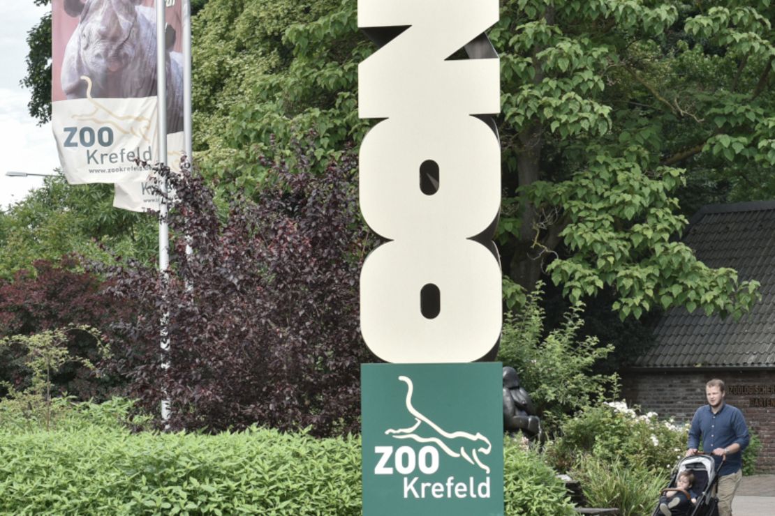 Das Bild zeigt den Eingangsbereich des Zoos, einen Besucher mit Kinderwagen und im Wind wehenden Fahnen.