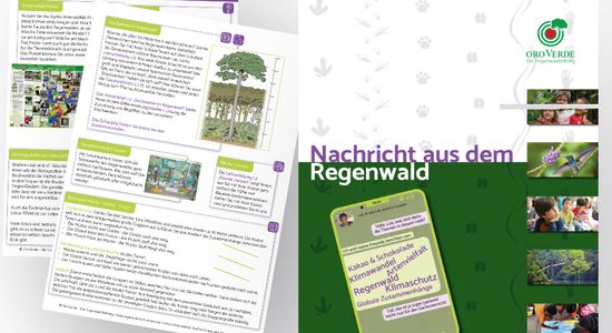 Das Titelblatt und zwei Seiten aus dem Inhalt des Unterrichtsmaterials "Nachricht aus dem Regenwald" für die Klassen 3 & 4
