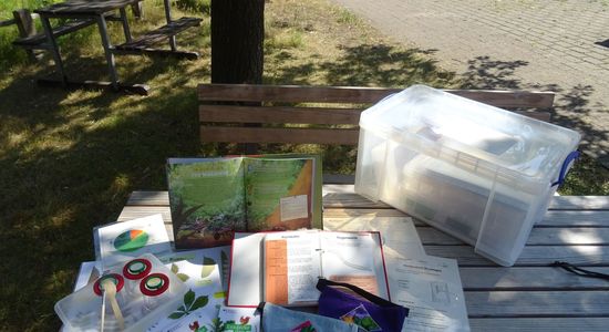 Unterrichtsbox Wald mit verschiedenen Materialien