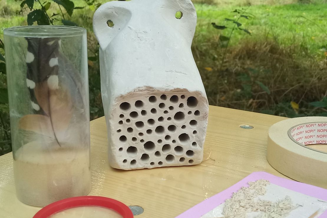 Auf einem Tisch liegt eine Lupe, daneben steht eine kleine Wildbienennisthilfe aus Ton. Im Hintergrund ist eine Wiese zu erkennen.