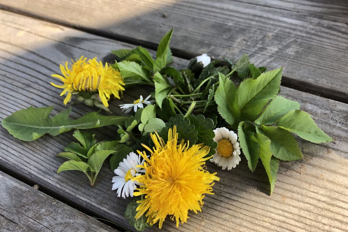 (Wild-)Kräutersträußchen