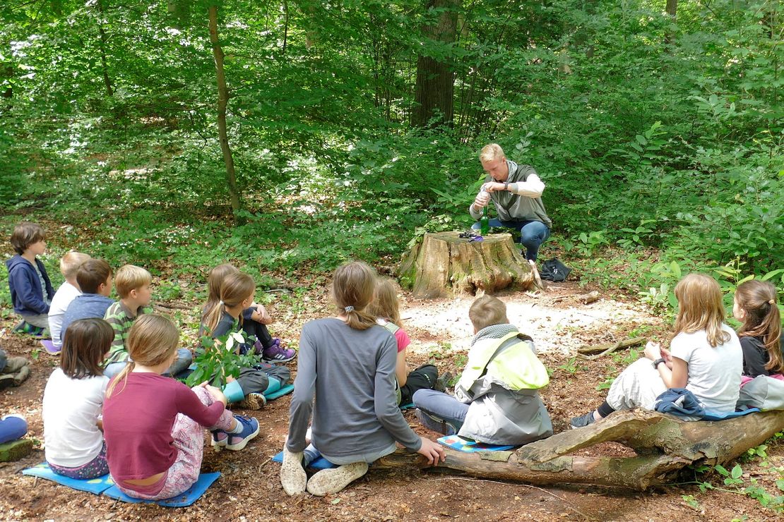 Kindergruppe sitzt im Wald und hört Lehrkraft zu